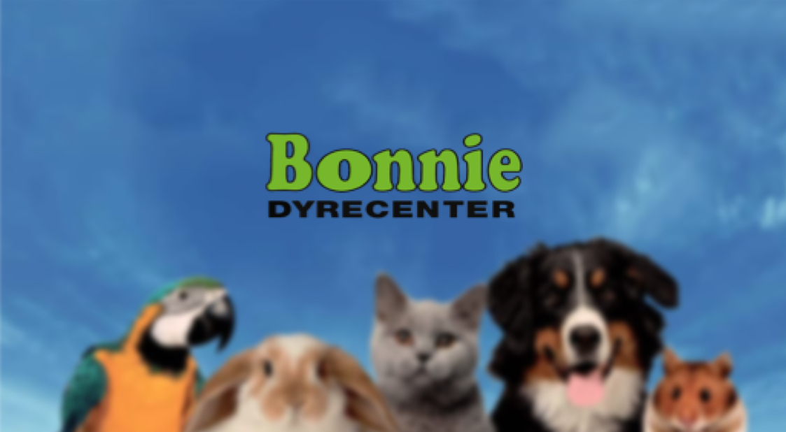 Home 46 46 Bonnie